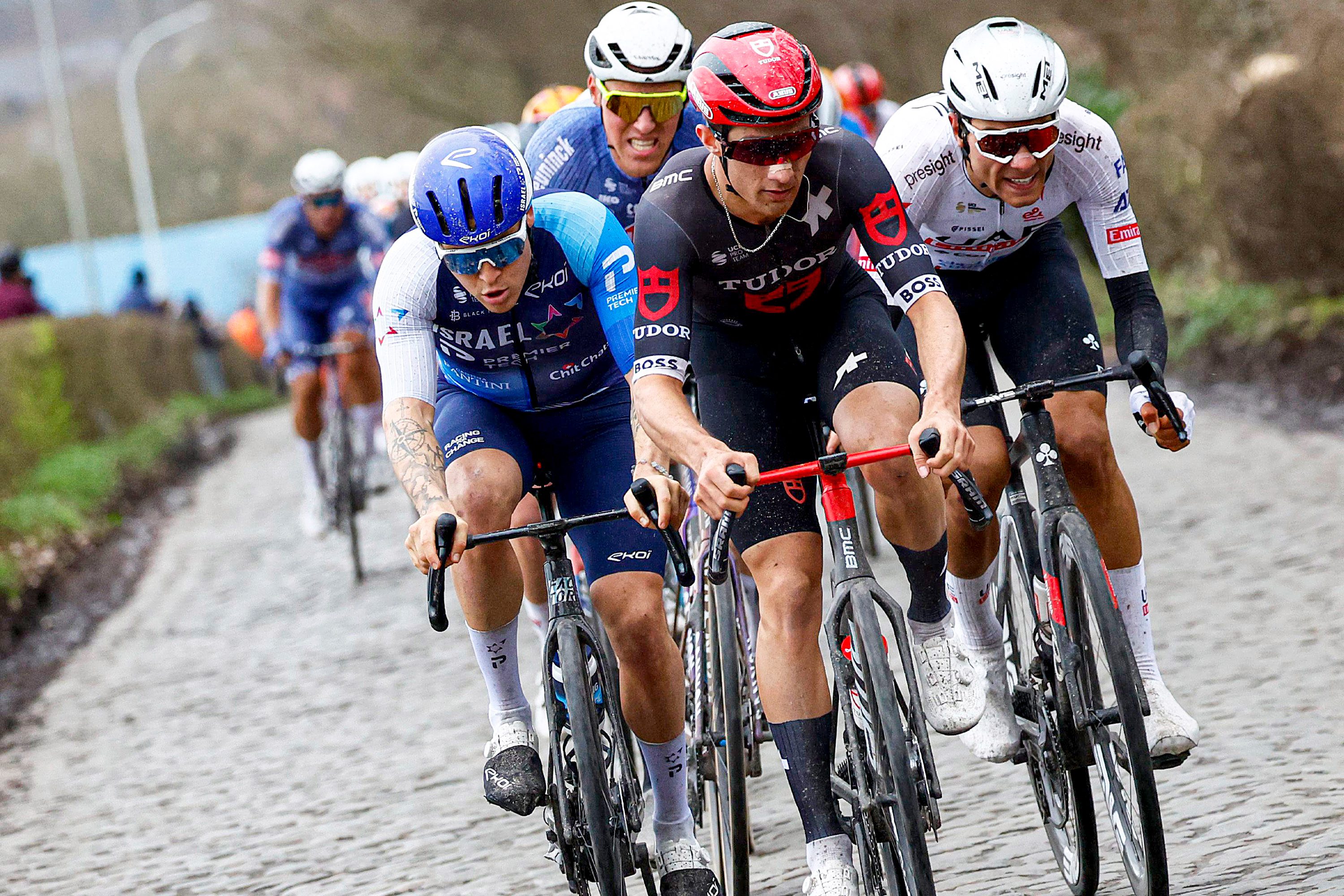 Hugo Hofstetter, Danilith Nokere Koerse 2024